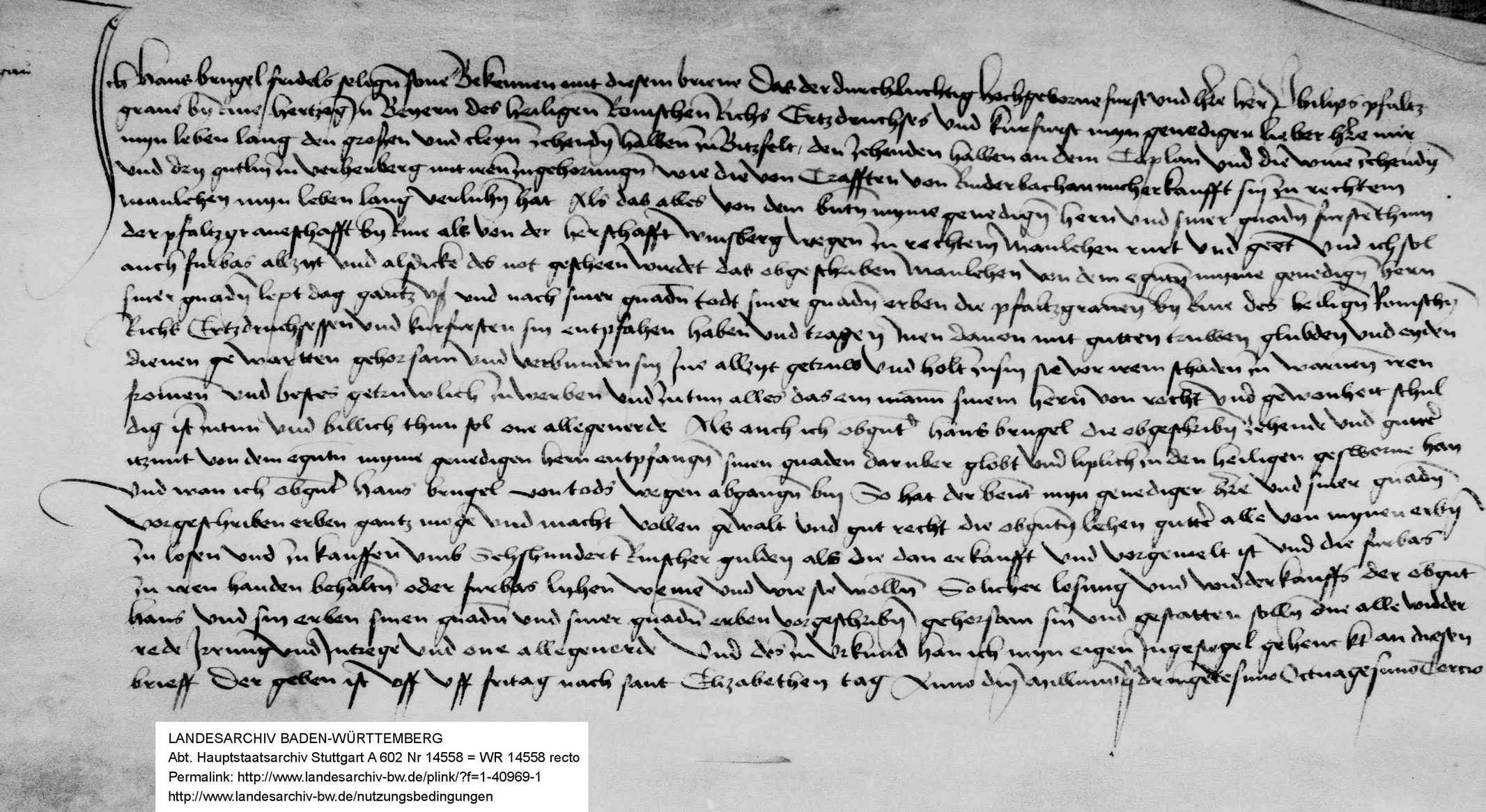 Hans Brugel, Fridels sel. Sohn, Mannlehen Verrenberg